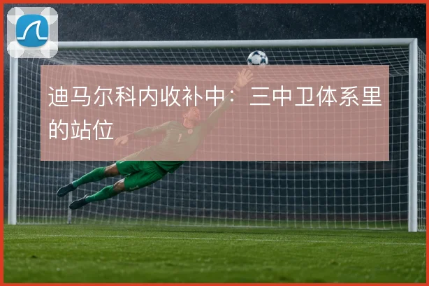 迪马尔科内收补中：三中卫体系里的站位