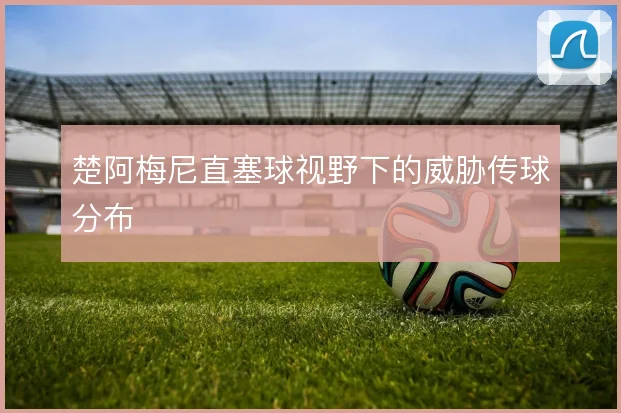楚阿梅尼直塞球视野下的威胁传球分布