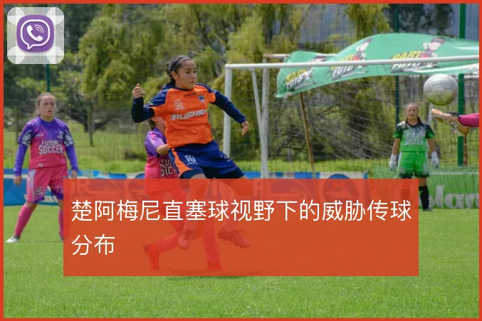 楚阿梅尼直塞球视野下的威胁传球分布