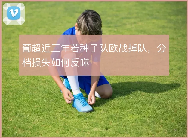 葡超近三年若种子队欧战掉队,分档损失如何反噬